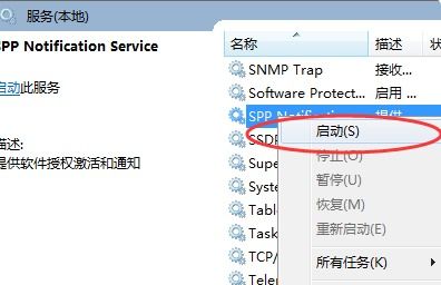 Windows 软件保护服务详解及其与网页、网站设计的潜在关联